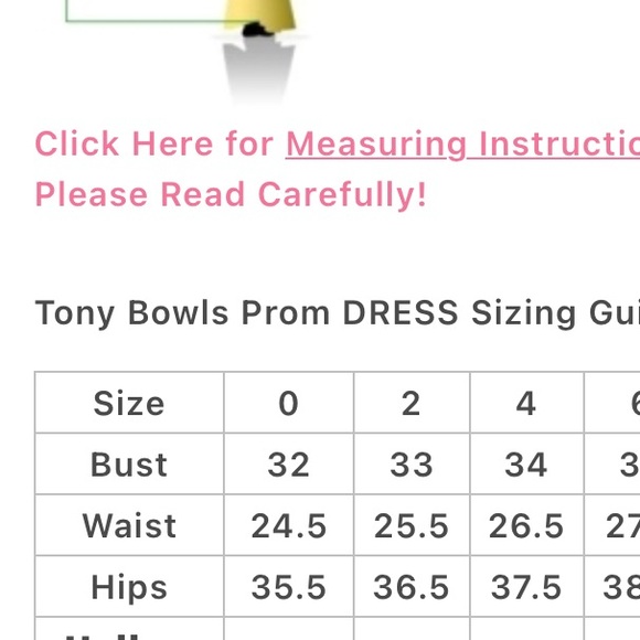 πTony Bowlsπsize 4 πwith matching attachable straps and matching wrap NEW π - Picture 9 of 9